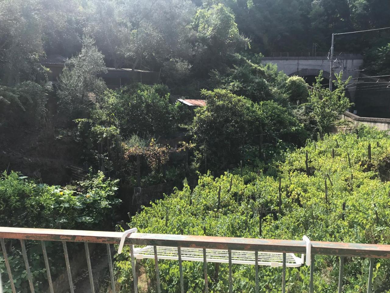 레반토 Emilio House 빌라 외부 사진